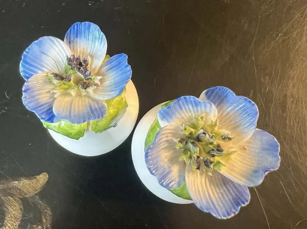 Vintage Jon Anton Staffordshire Bone China Salt Pepper Shakers Floral England